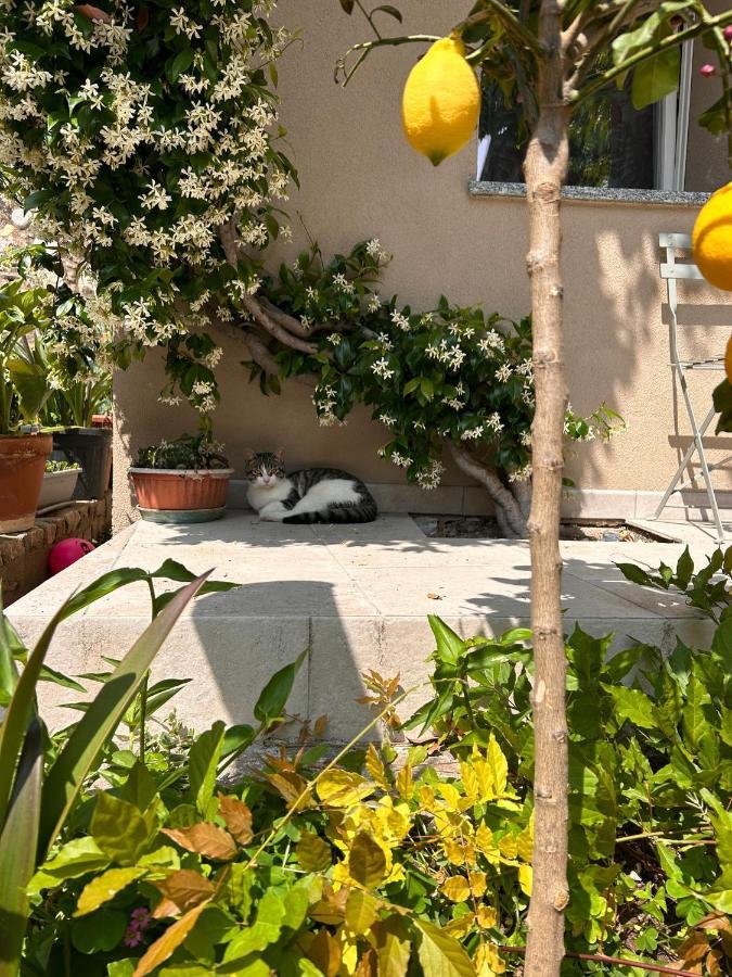 Bea Trees - Lake Garda Пуеняго Екстериор снимка